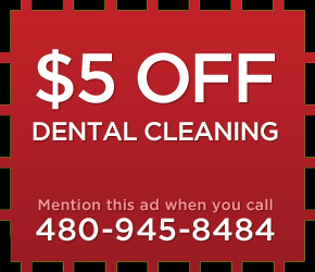 Chandler Dog teeth cleaning Special